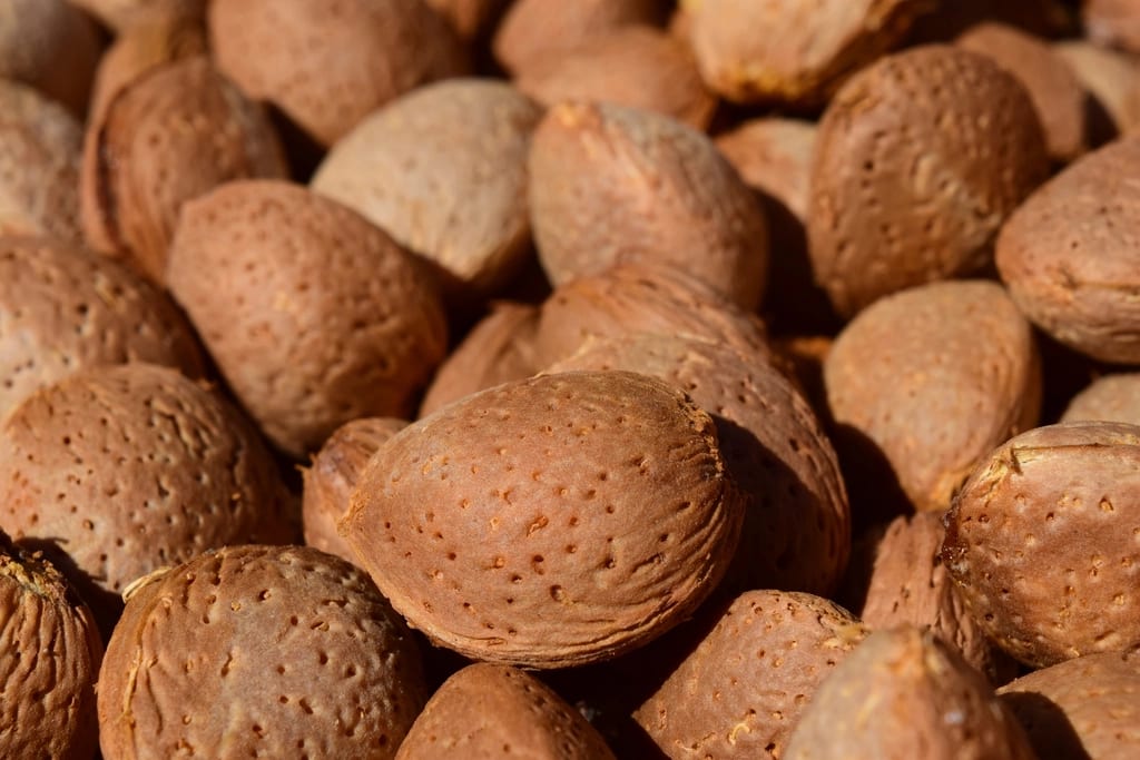 Padre natural almond kernels