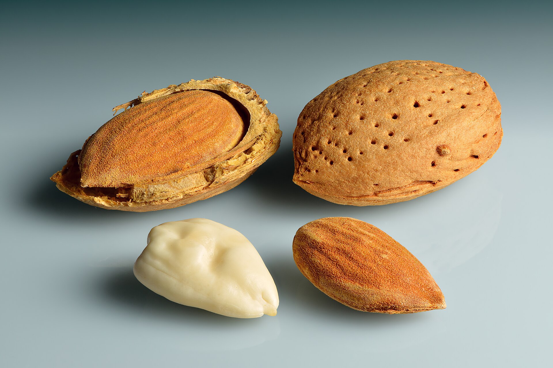 Nonpareil vs. California Type: Choosing the Right Kernel for Your Application